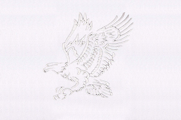 Evaluating the Silhouette Eagle Embroidery Design for Small Business Use